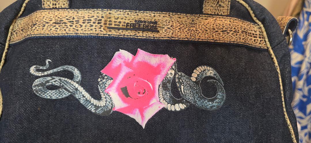 Roberto Cavalli Y2K Denim Shoulder Bag
